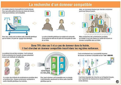 don-moelle-recherche-donneur-compatible