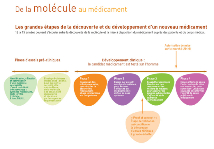 de la molecule au medicament