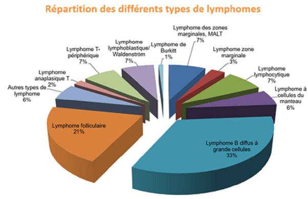 https___curie.fr_sites_default_files_medias_images_2017-03_A-3-21-e_cancer_hematolo